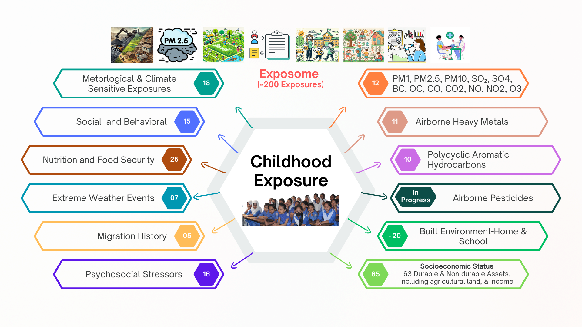 BLADES exposure domains and multipollutant assessment